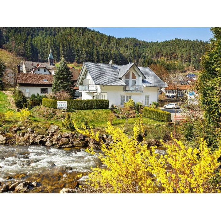 Ferienwohnung in Hornberg ab 42€ pro Nacht