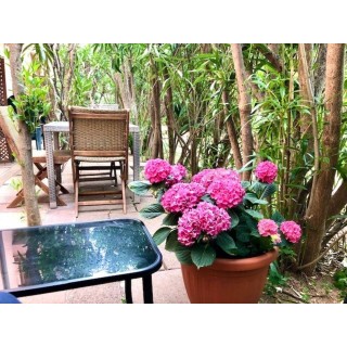 Ferienwohnung in Isola Rossa ab 59€ pro Nacht