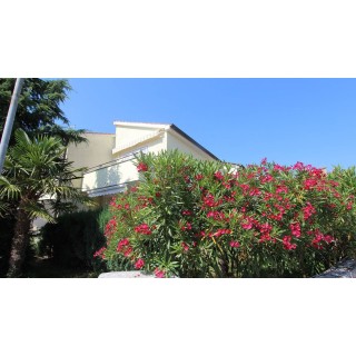 Ferienwohnung in Krk ab 51€ pro Nacht