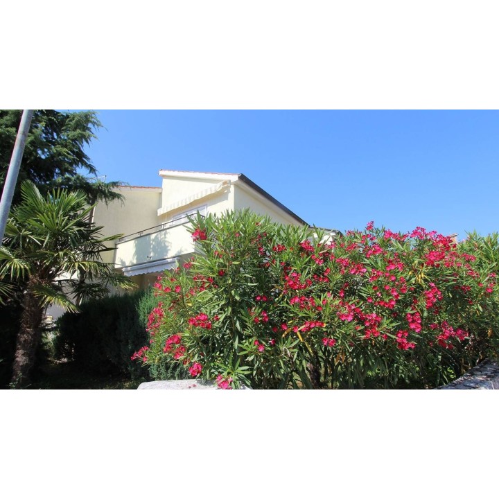 Ferienwohnung in Krk ab 51€ pro Nacht