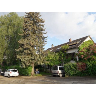 Ferienwohnung in Kurpfalz ab 51€ pro Nacht