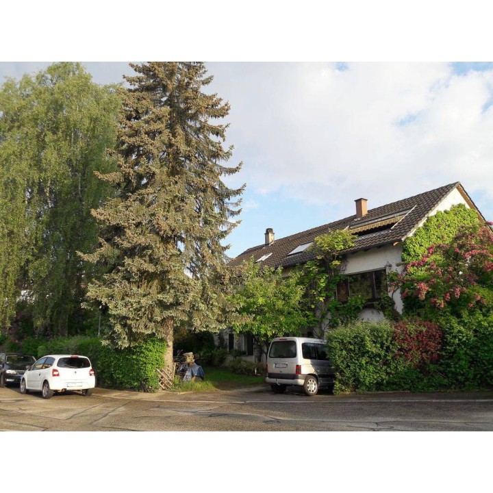 Ferienwohnung in Kurpfalz ab 51€ pro Nacht