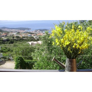 Ferienwohnung in Makarska ab 59€ pro Nacht