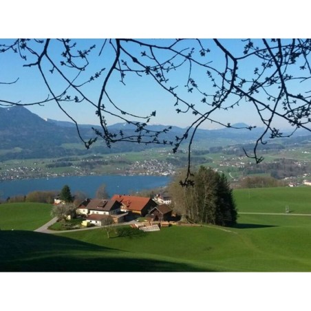Ferienwohnung in Mondsee ab 58€ pro Nacht