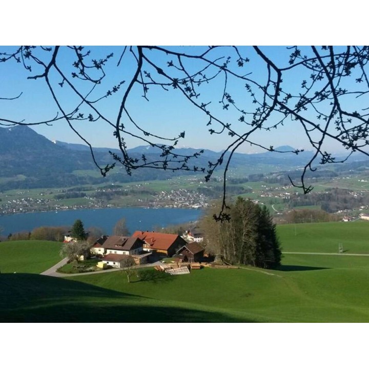 Ferienwohnung in Mondsee ab 58€ pro Nacht