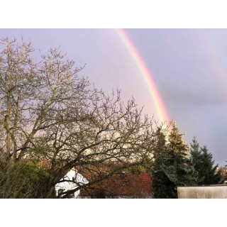 Ferienwohnung in Mosel-Saar ab 43€ pro Nacht