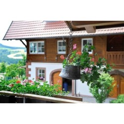 Ferienwohnung in Oberrhein ab 58€ pro Nacht