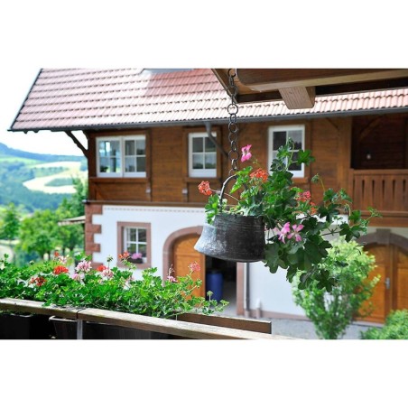 Ferienwohnung in Oberrhein ab 58€ pro Nacht
