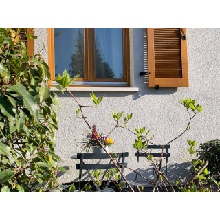 Ferienwohnung in Pfalz ab 59€ pro Nacht