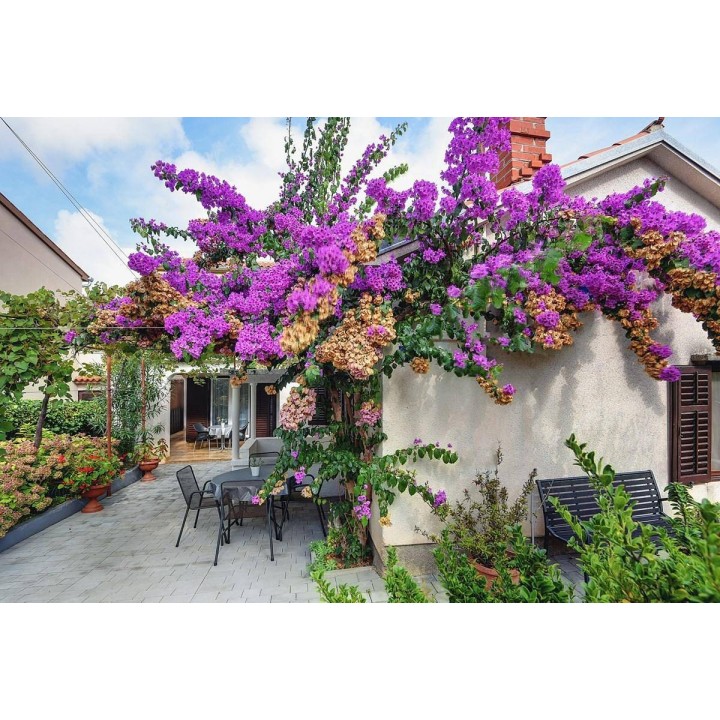 Ferienwohnung in Pomer ab 55€ pro Nacht