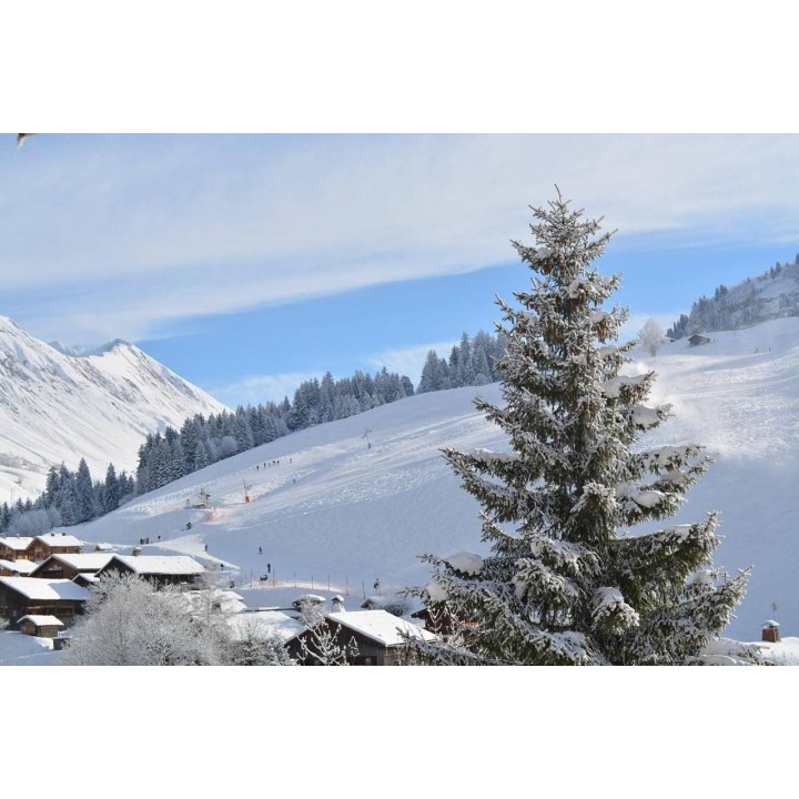 Ferienwohnung in Rhone-Alpes ab 51€ pro Nacht