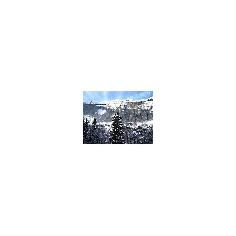 Ferienwohnung in Rhone-Alpes ab 55€ pro Nacht