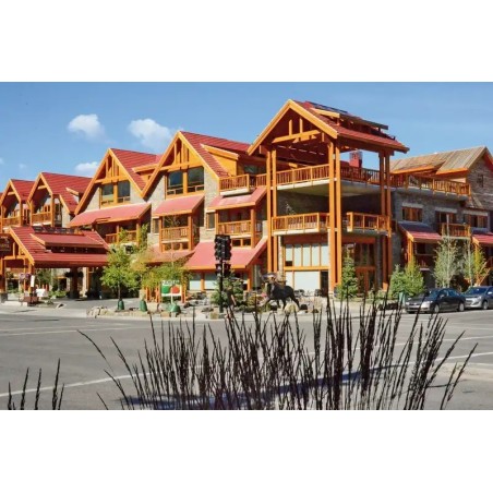 Moose Hotel & Suites