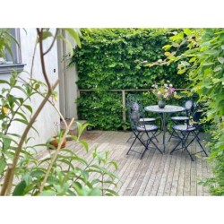 Ferienwohnung in Rügen ab 41€ pro Nacht