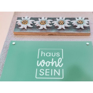 Ferienwohnung in Schoppernau ab 45€ pro Nacht