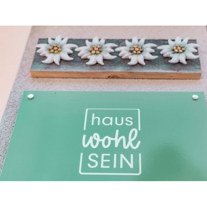 Ferienwohnung in Schoppernau ab 45€ pro Nacht