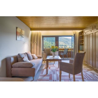 Ferienwohnung in Schwarzwald ab 51€ pro Nacht