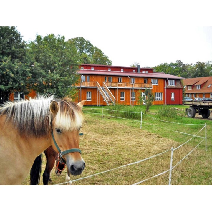 Ferienwohnung in Schwerin ab 48€ pro Nacht