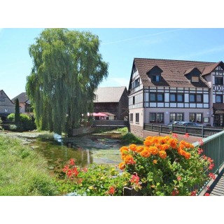 Ferienwohnung in Spessart ab 55€ pro Nacht