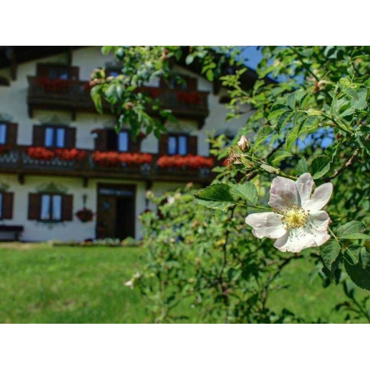 Ferienwohnung in Tegernsee ab 44€ pro Nacht