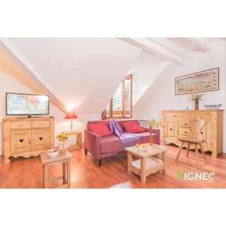 Ferienwohnung in Vignec ab 50€ pro Nacht