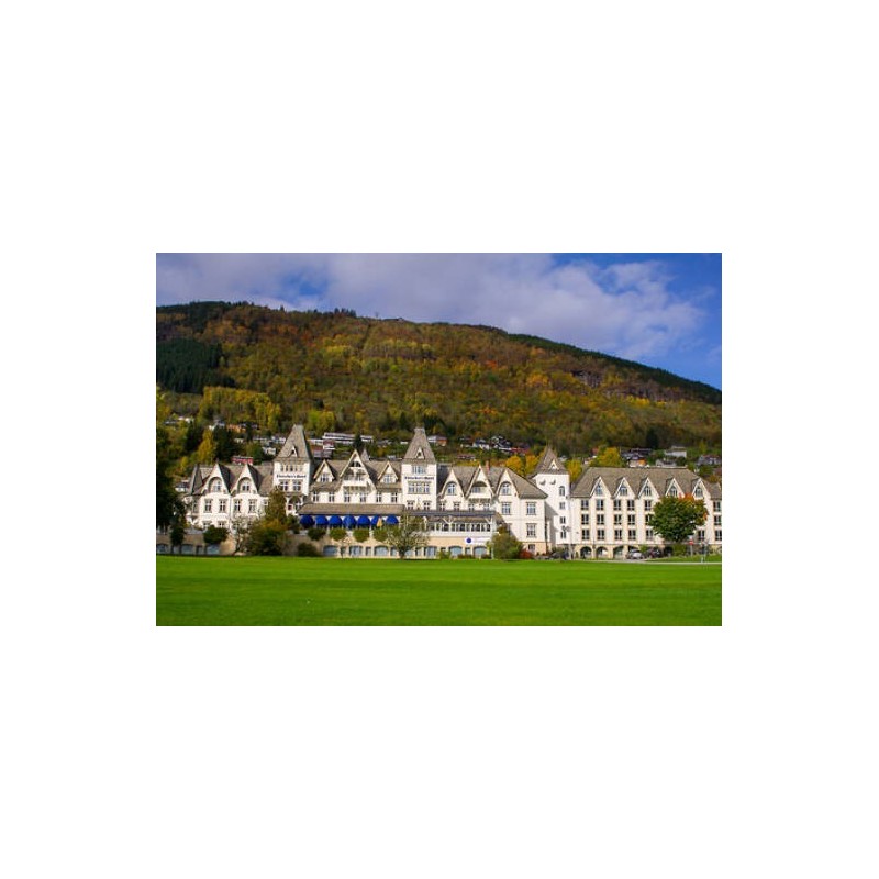 Fleischer's Hotel