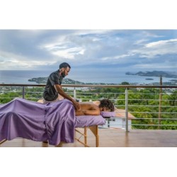 Frankfurt - Castries - Hammock Suites