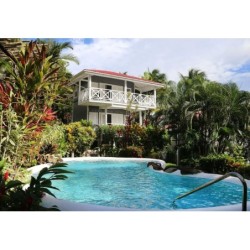 Frankfurt - Castries - Oasis Marigot