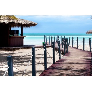 Frankfurt - Cayo Coco - Memories Caribe Beach Resort - Adults Only  +16