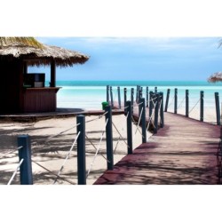 Frankfurt - Cayo Coco - Memories Caribe Beach Resort - Adults Only  +16