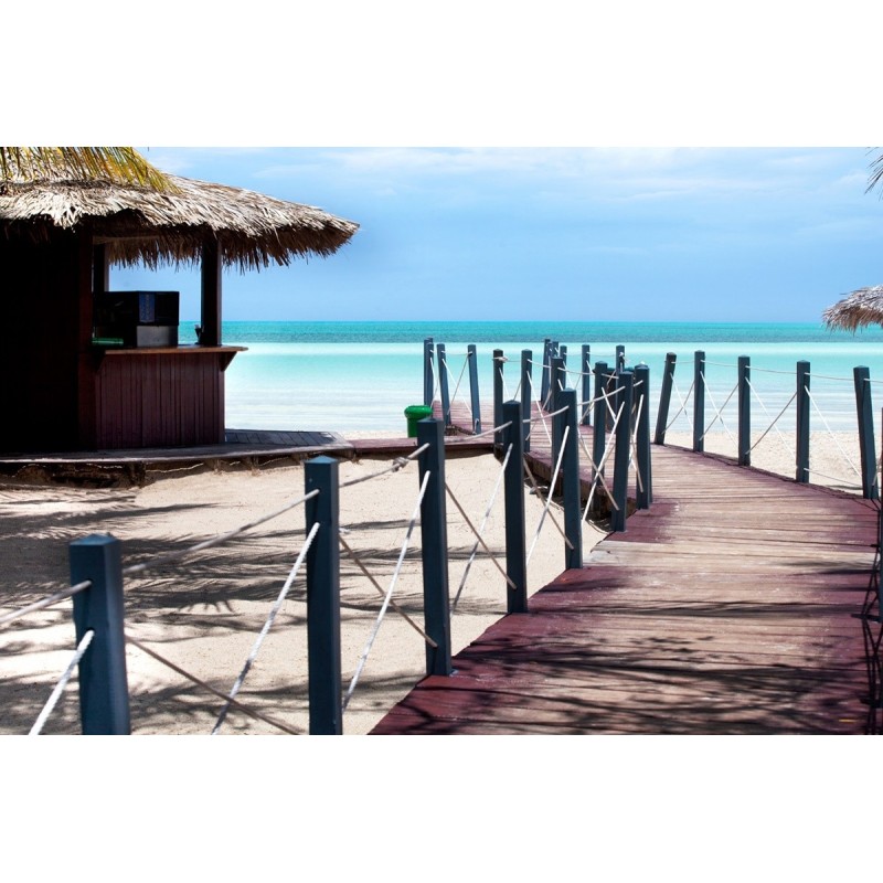 Frankfurt - Cayo Coco - Memories Caribe Beach Resort - Adults Only  +16