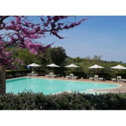 Frankfurt - Follonica - Borgo Etrusco