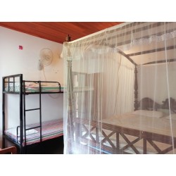 Frankfurt - Galle - Green Herbal Ayurvedic Eco-Lodge
