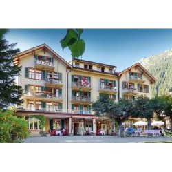 Frankfurt - Grindelwald - Historic Hotel Falken