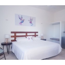 Frankfurt - Isla Holbox - Casa Chujuk by Spirit Group