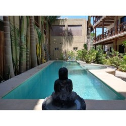 Frankfurt - Isla Holbox - La Constanza de Rulo