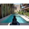 Frankfurt - Isla Holbox - La Constanza de Rulo