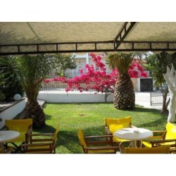 Frankfurt - Kefalonia, Griechenland - Erietta Studios