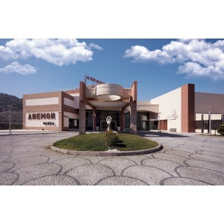 Frankfurt - Manisa - Anemon Grand Manisa Otel