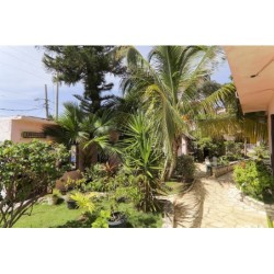 Frankfurt - Negril - Home Sweet Home Resort