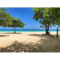 Frankfurt - Negril - Negril Beach Club
