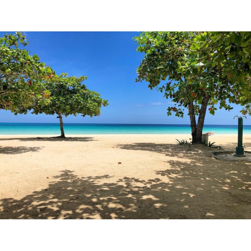 Frankfurt - Negril - Negril Beach Club