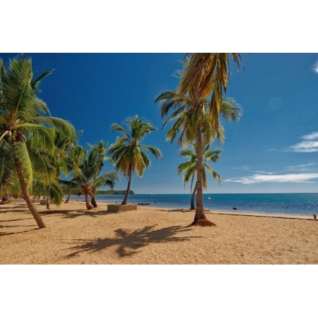 Frankfurt - Nosy Be - Orangea Beach Resort
