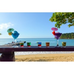 Frankfurt - Ocho Rios - Sand and Tan Beach Hotel