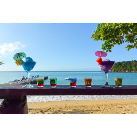 Frankfurt - Ocho Rios - Sand and Tan Beach Hotel