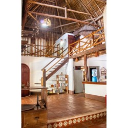 Frankfurt - Playa del Carmen - Apart Hotel Casaejido