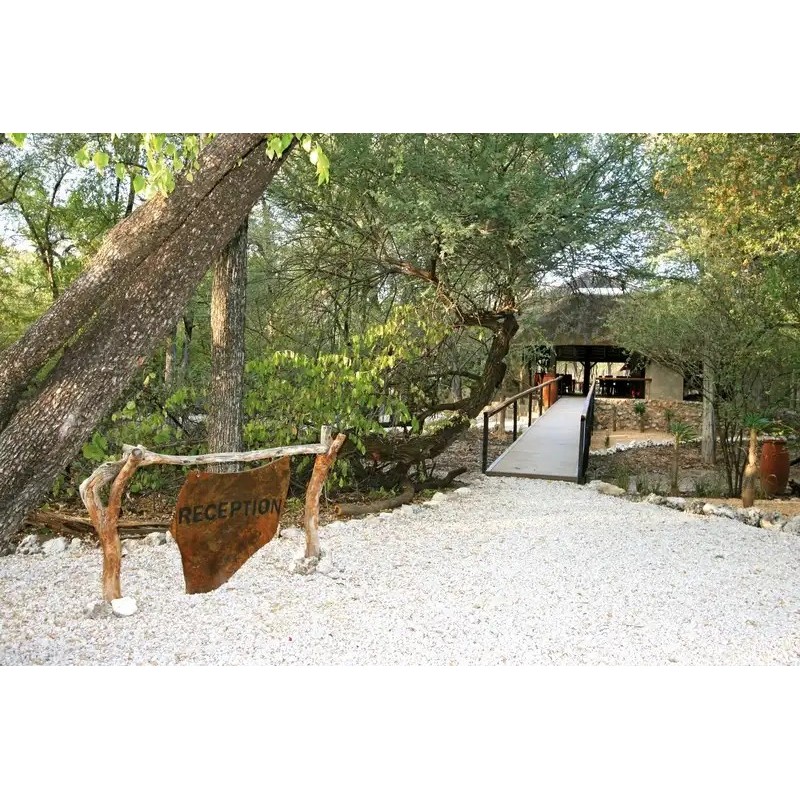 Onguma Forest Camp