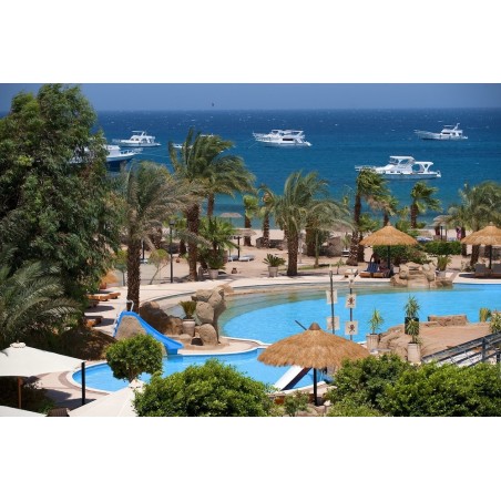 Frankfurt - Soma Bay - Lotus Bay Resort