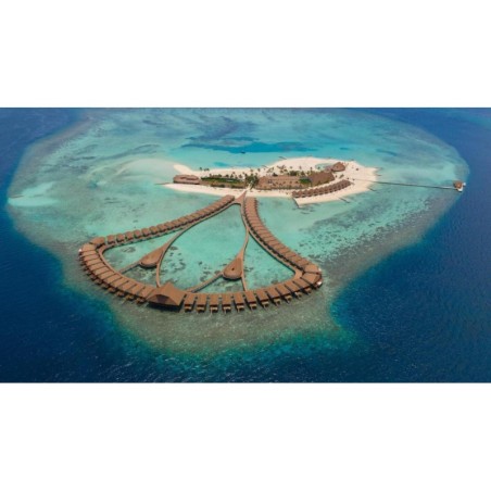 Frankfurt - Vaavu Atoll - Cinnamon Velifushi Maldives
