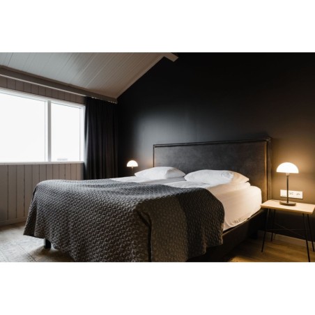 Frankfurt - Vik i Myrdal - Hotel Katla by Keahotels